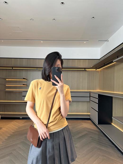 拉夫劳伦25柜子新色T恤老钱日常百搭王（SS） 商品图10