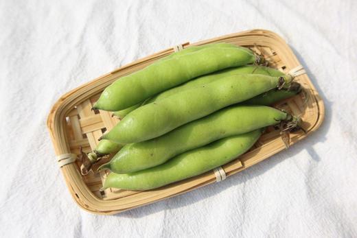云南大理蚕豆荚（苍山下，洱海边）买3斤装+送1斤 商品图3