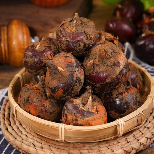 新鲜带泥马蹄 | 蔬菜 商品图1