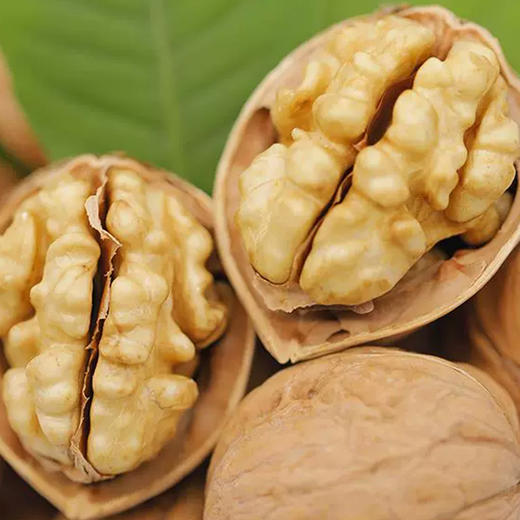 浙疆果纸皮核桃(草本味)1kg 商品图3