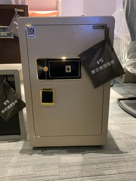 保险柜/A497-LS-700