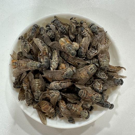 采云堂正宗虻虫中药材牛虻虫精选大个手工挑选无杂质气味浓郁干货 商品图3