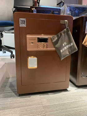 保险柜/A497-LS-600