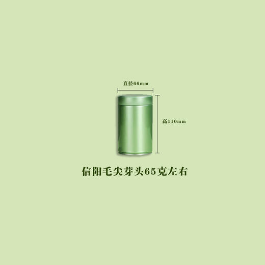 密封罐65克左右【66/110银绿】3.5一个/192个一箱 商品图0