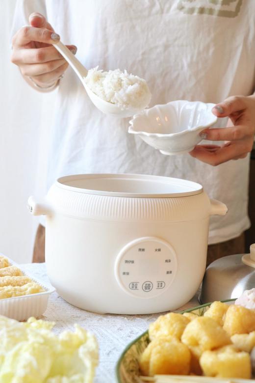 🍚直降100❗❗神价99元开抢❗比双十一更抵！🇩🇪德国百年大牌德世朗旗下博堡新品——1.6L专属mini多功能电饭煲🍚煮、焖、涮、炖样样行！  商品图2