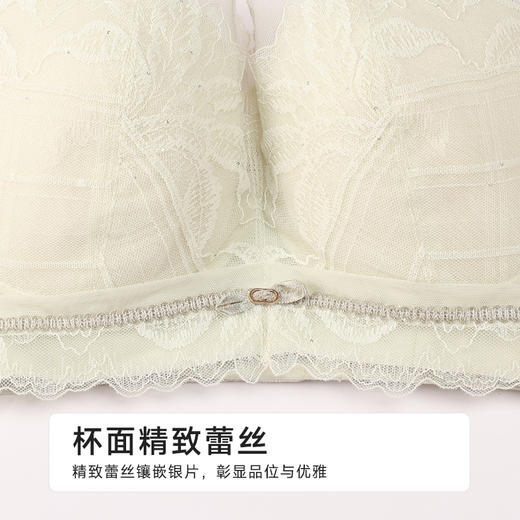 都市丽人舒软挺塑调整型文胸超薄蕾丝软钢圈塑身文胸LJH2B9 商品图4