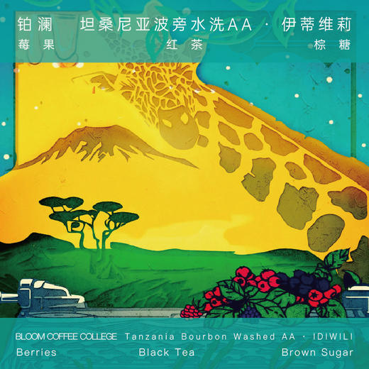坦桑尼亚波旁水洗AA伊蒂维莉手冲精品咖啡豆 商品图0