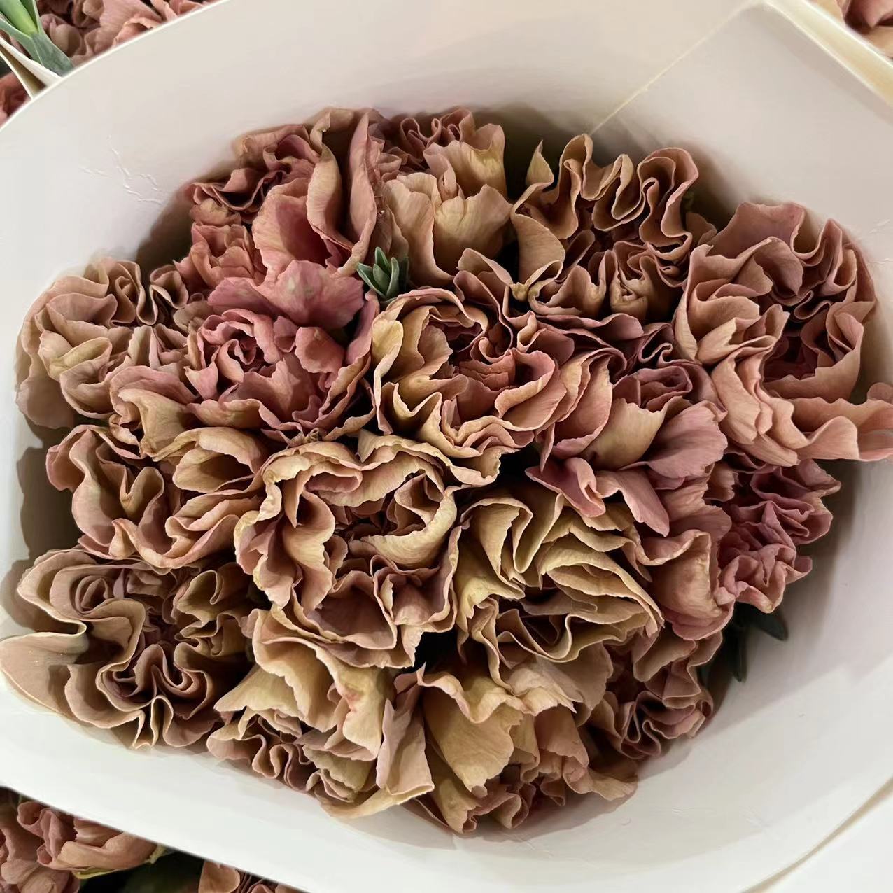 微信图片_20230213200207