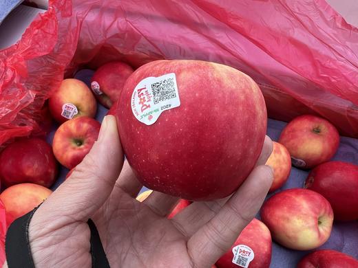 周四取货：【新西兰小花苹果】一份6个（1.8斤左右）脆甜可口，果质紧实，浓浓香甜 ​！ 商品图2