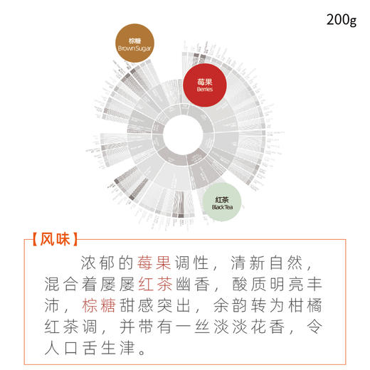 坦桑尼亚波旁水洗AA伊蒂维莉手冲精品咖啡豆 商品图1