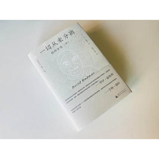 一切从未发生:帕帕吉传.中 商品图4