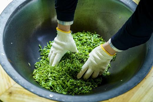 2026春茶采摘【都江堰·茶溪谷】踏春采茶39.8元/人~采茶制茶套票超值享，体验茶文化，学习制茶的过程和工序，劳动成果可带回家哦！ 商品图13