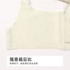 都市丽人舒软挺塑调整型文胸超薄蕾丝软钢圈塑身文胸LJH2B9 商品缩略图8
