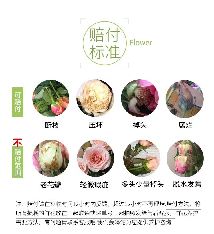 731e0e91-d0db-4637-9ab8-c24ea8d2dd6b.jpe