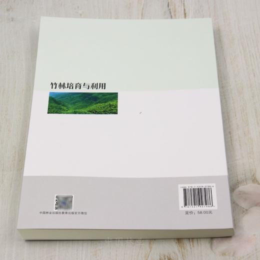 E竹林培育与利用 &2798 商品图2