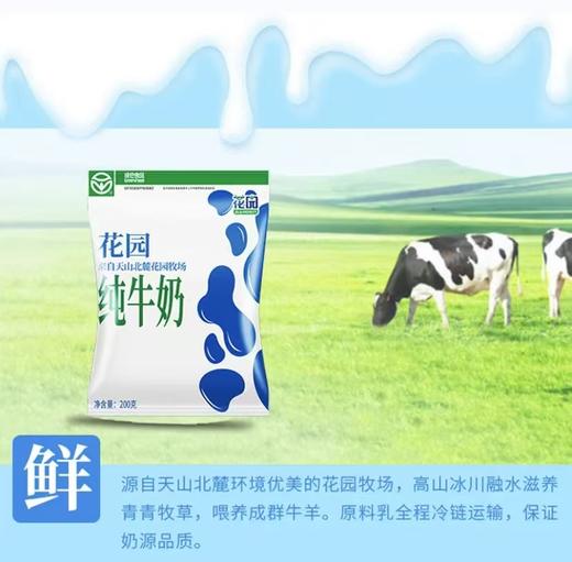 新疆花园纯牛奶200g*20袋/2箱【MJ】 商品图1