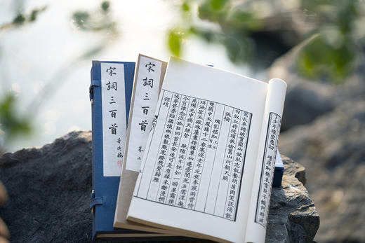 新校刊本《宋词三百首》 商品图7