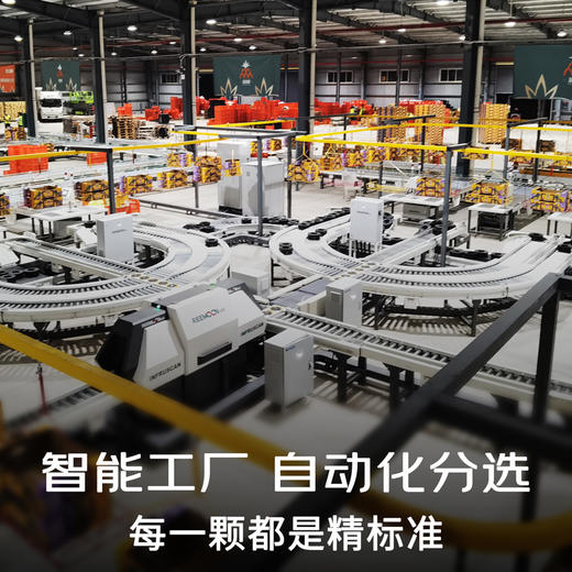 【京东快递】海南金钻凤梨 香甜脆爽 风味浓郁 金黄果肉 细腻多汁 无需挖眼 现切即食 - ATX 商品图4