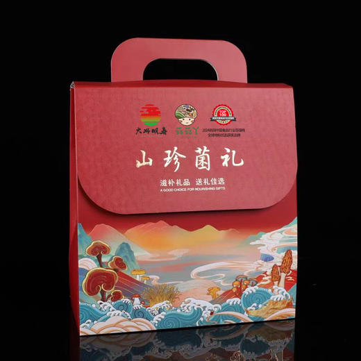 菇菇丫-山珍野菌松茸【首发】 商品图0