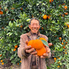 特惠活动『秭归福罗斯特脐橙』江边果园，新鲜春橙，浓甜爆汁，肉嫩无籽 商品缩略图10