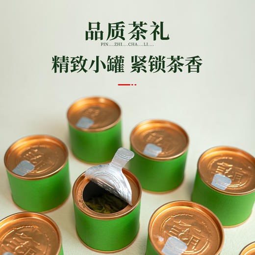 【新茶上市】湖畔居2025新茶 春茶明前特级西湖龙井茶7小罐35g装绿茶送礼 商品图1