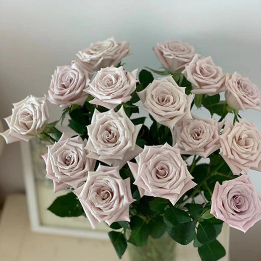顺丰冷链云南玫瑰鲜花新鲜到家基地直发家用水培鲜切花节日礼物女神节 商品图3