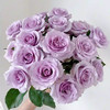顺丰冷链云南玫瑰鲜花新鲜到家基地直发家用水培鲜切花节日礼物女神节 商品缩略图7