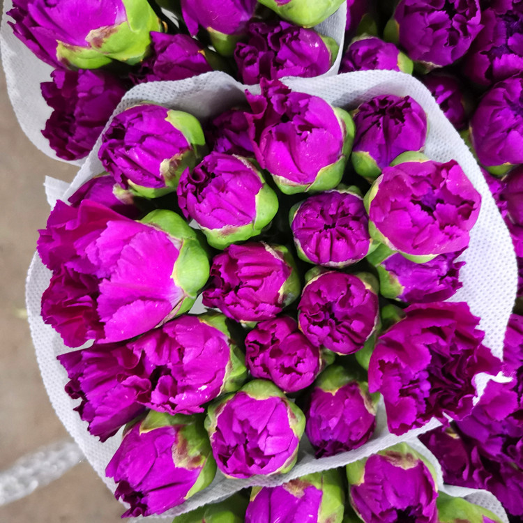 IMG_20200612_203905_副本