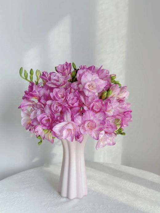 【限定浪漫--香雪兰】颜色自选 商品图3