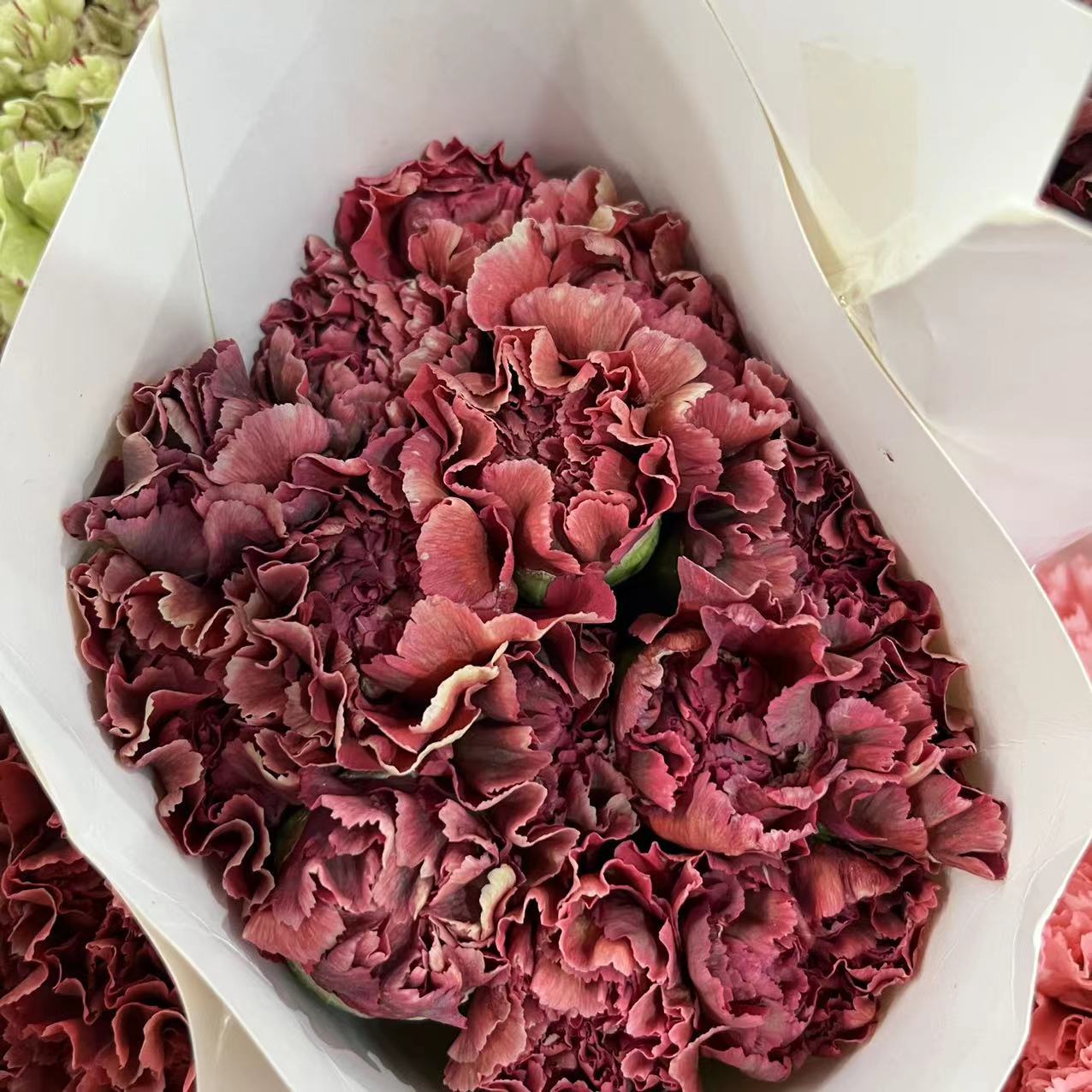 微信图片_20230213200228