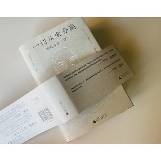 一切从未发生:帕帕吉传.中 商品图3