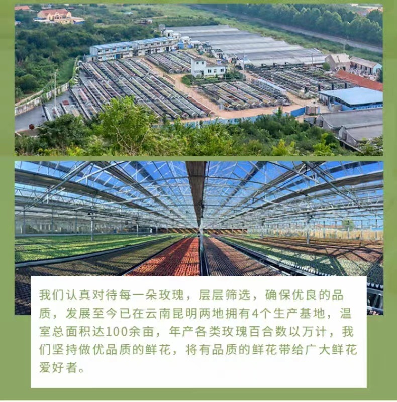 c152a2f0-f8cf-4611-a3ea-ab0be6fdbe34.jpe