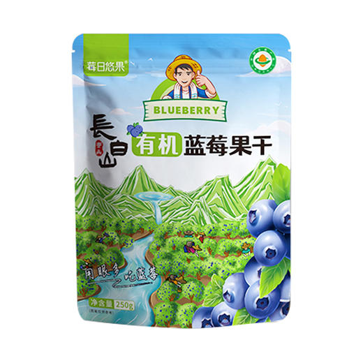 长白山有机蓝莓果干 250g/袋大包装 商品图4