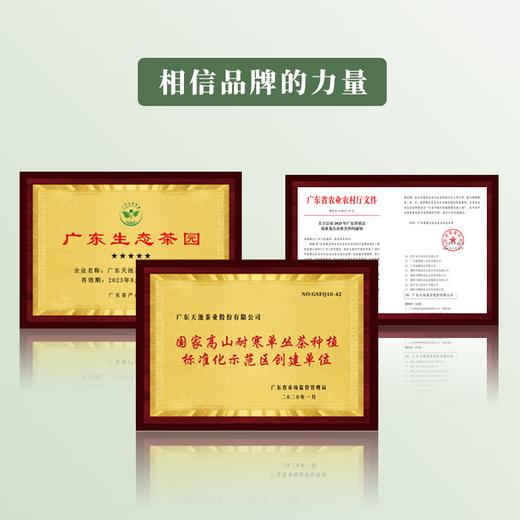 天池丨 青山系列 八仙 凤凰单丛 乌龙茶 一级 125g 罐装 商品图3