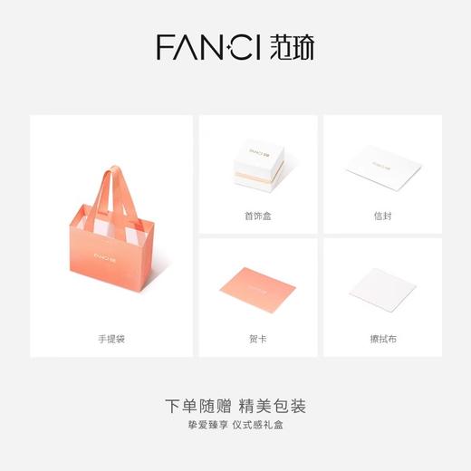 FANCI范琦 情人结项链女原创设计银锁骨链小众百搭生日礼物送闺蜜 商品图3