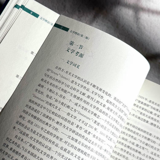 文学理论 第三版 鲁枢元 刘锋杰 姚鹤鸣 高校文科精品教材 商品图7