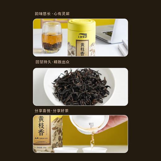 天池丨金山系列 七彩 ·黄枝香 凤凰单丛 乌龙茶 特级 50g/100g 罐装 商品图3