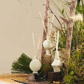 【生日礼 女神节  情人节  】呈白东方花艺香薰 室内无火香氛摆件  2.25-4.1期间 99元买一赠一 （任选2瓶）