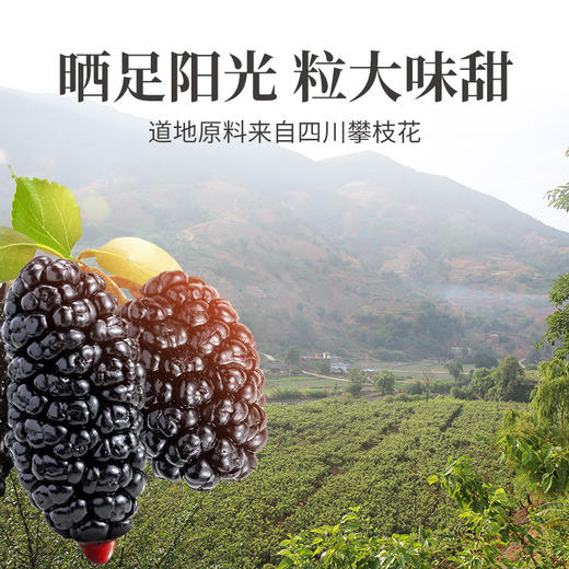 方家铺子 桑椹干250g/瓶装 商品图7