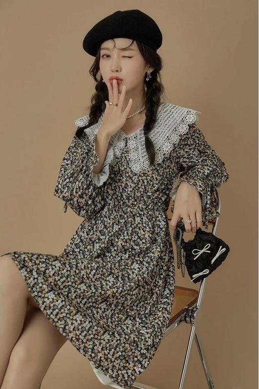 Other Mix 蕾丝翻领碎花连衣裙 15357 商品图2