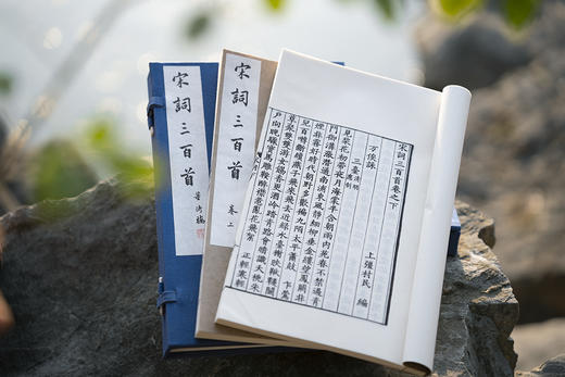 新校刊本《宋词三百首》 商品图6