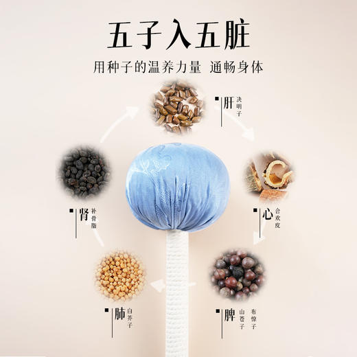 【杏林方记】五行逍遥槌 商品图1