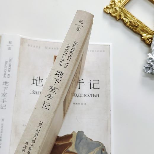 地下室手记 商品图4