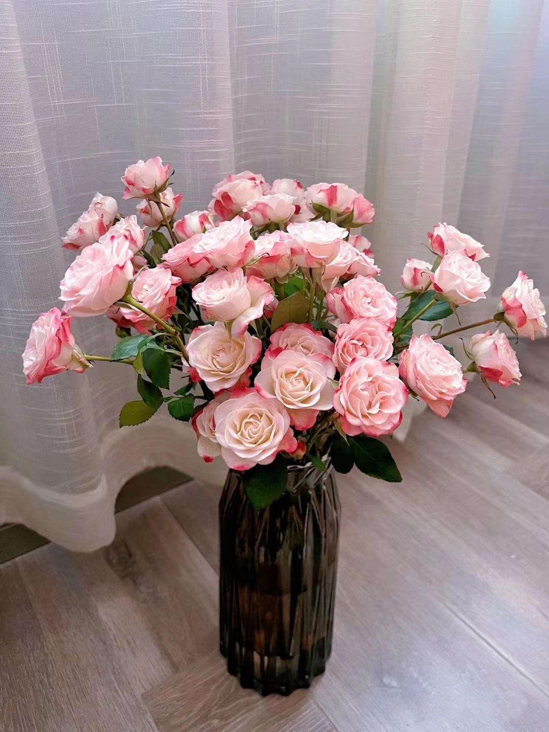 微信图片_20230323014351_副本