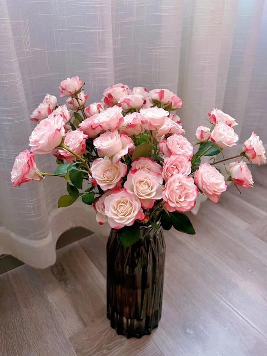 云南昆明多头玫瑰鲜花蔷薇小玫瑰基地直批水养花婚庆花店用花女神节 商品图11