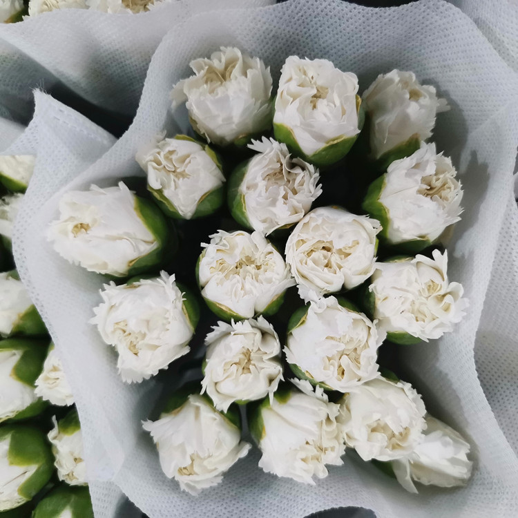 IMG_20200612_203941_副本