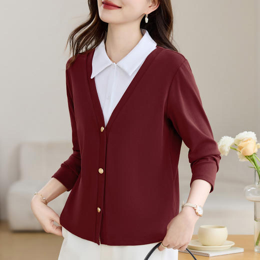 雀说翻领假两件长袖t恤女新款洋气女装polo领正肩上衣打底衫AL10047 商品图1