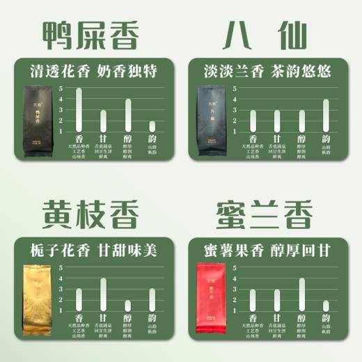天池丨青山系列品鉴装 凤凰单丛 乌龙茶 一级 28g盒装（黄枝香、蜜兰香、八仙、鸭屎香） 商品图1