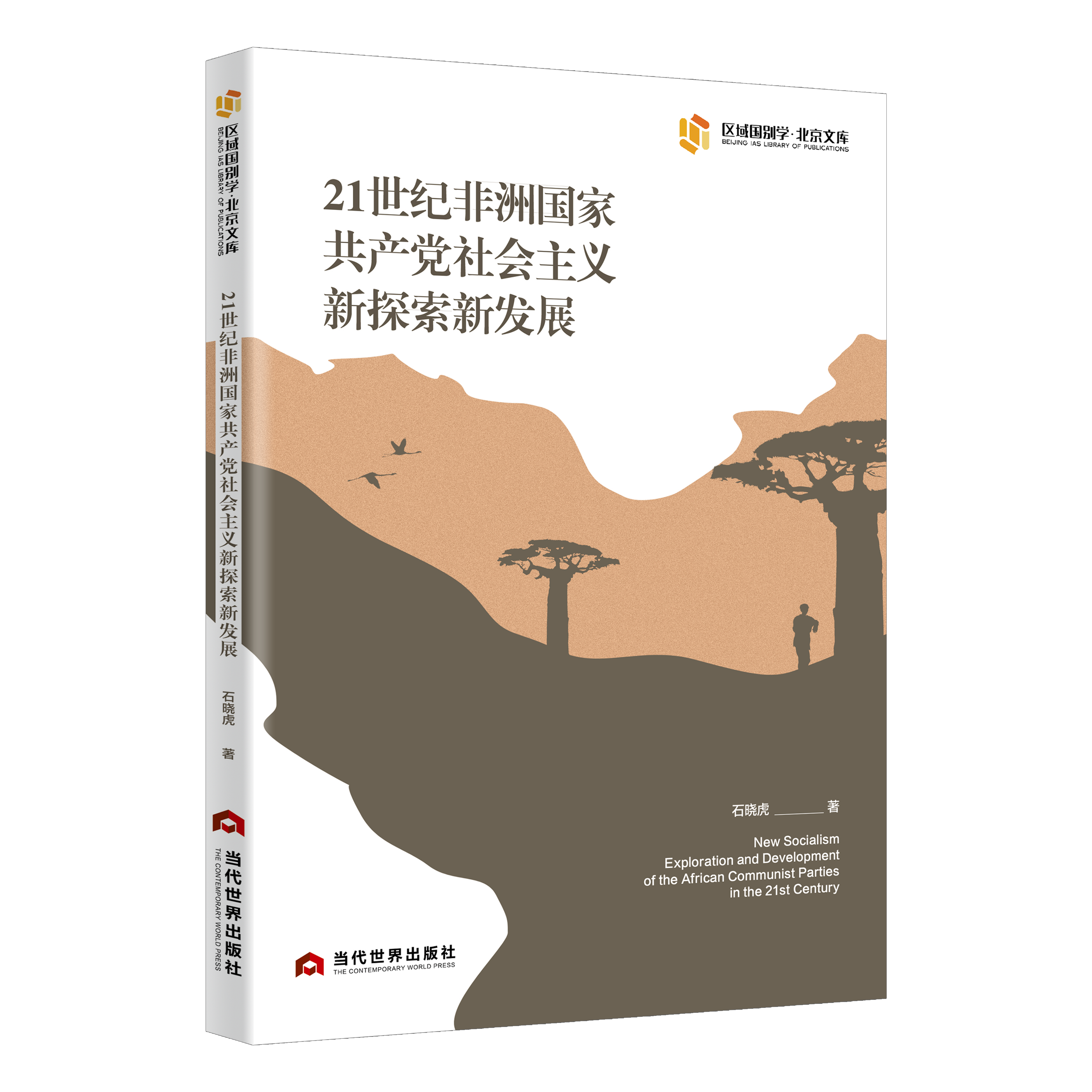 21世纪非洲国家共产党社会主义新探索新发展