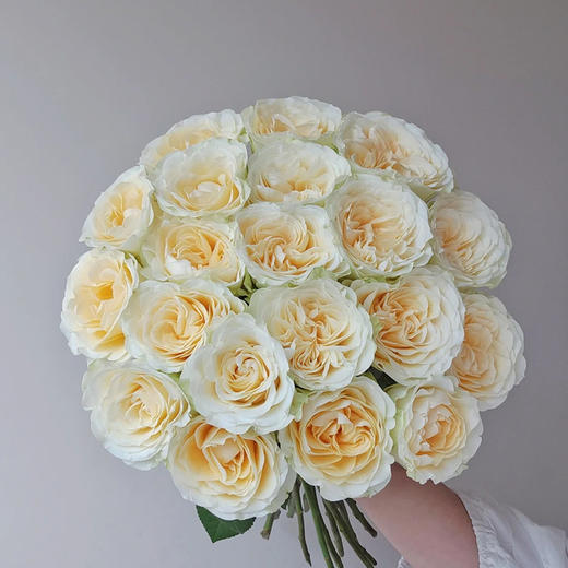 顺丰冷链云南玫瑰鲜花新鲜到家基地直发家用水培鲜切花节日礼物女神节 商品图11